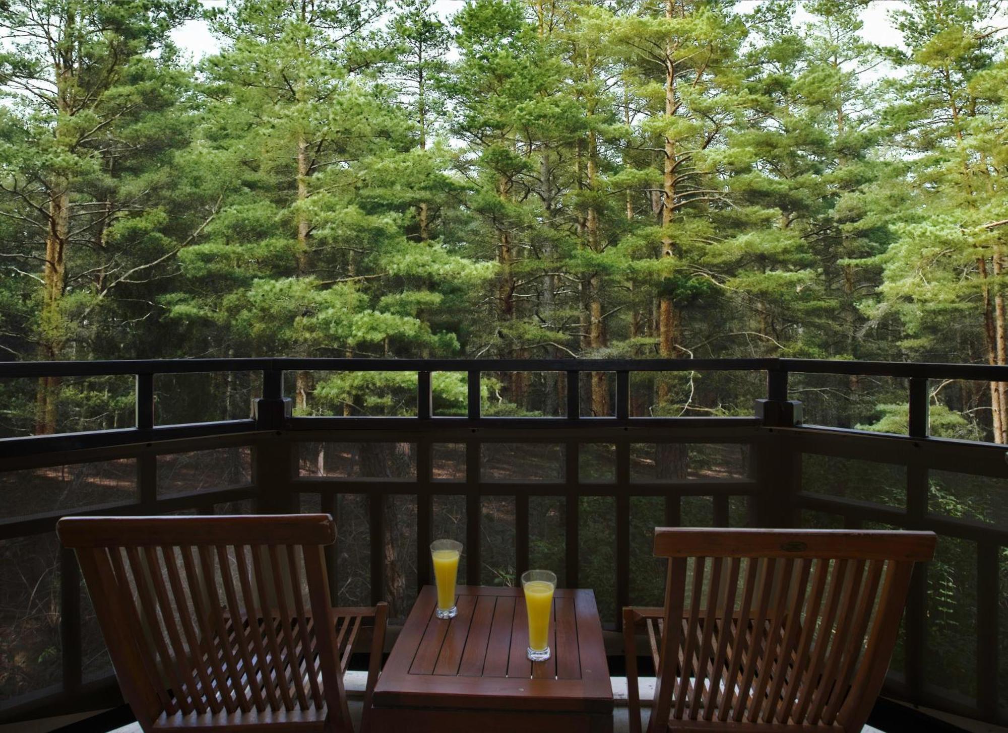 Asteria Family Resort Belek Antalya Exterior foto A view of the forest from the balcony of a guest room